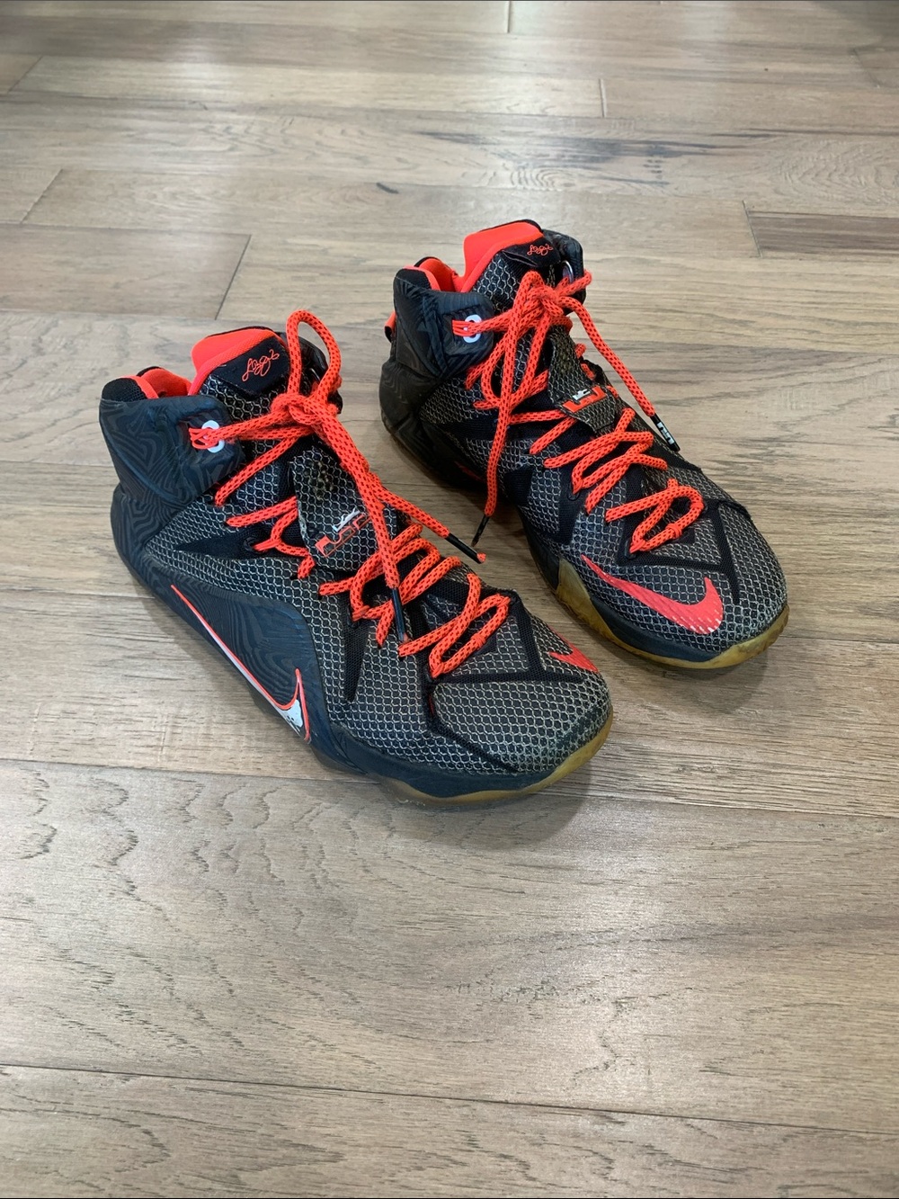 Nike James Lebron XII Instinct Basketball Shoes
